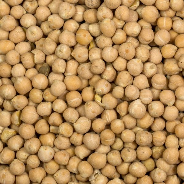 Ciecierzyca 500g zdjęcie 3