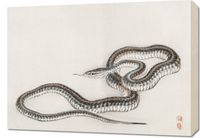 Obraz 70x50cm Snake, Kōno Bairei