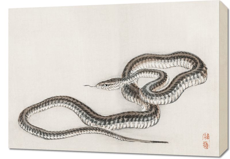 Obraz 70x50cm Snake, Kōno Bairei zdjęcie 1