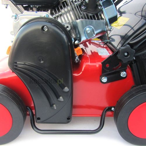 Pubert Cesar 45P na Arena.pl