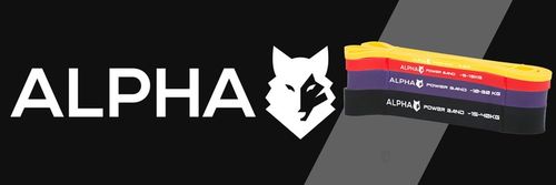 Zestaw 4 Gum Oporowych do Ćwiczeń z Uchwytem Gratis - Power Band ALPHA na Arena.pl