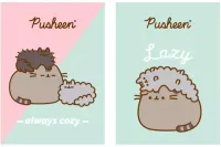 Zeszyt A4 32K Krata Laminowany Pusheen Mix Cena Za 1 Sztukę