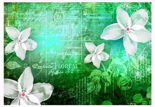Fototapeta - Floral notes III 350x245 na Arena.pl