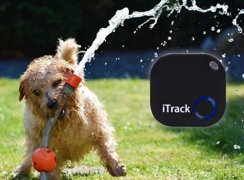 iTrack1 Lokalizator Bluetooth 5.0 Brelok Kluczy Portfela Alarm na PREZENT na Arena.pl