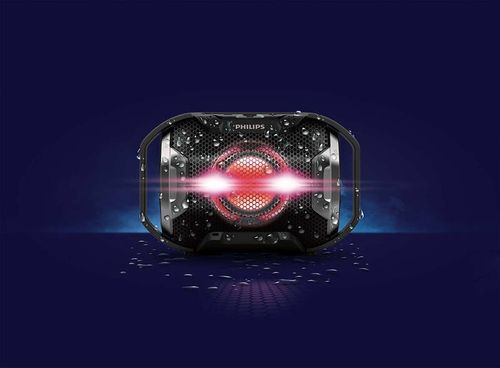 Portable Speaker Philips SB300B/00 Czarny na Arena.pl