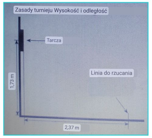 DART tarcza 43 cm lotki 6 szt gra Darts dwustronna na Arena.pl