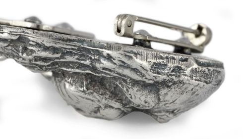 Cavalier King Charles Spaniel - klips - 2548 na Arena.pl