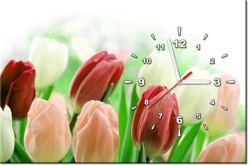 60CM 40CM ZEGAR OBRAZ CZERWONE TULIPANY DRUK PŁÓTNO RAMA na Arena.pl