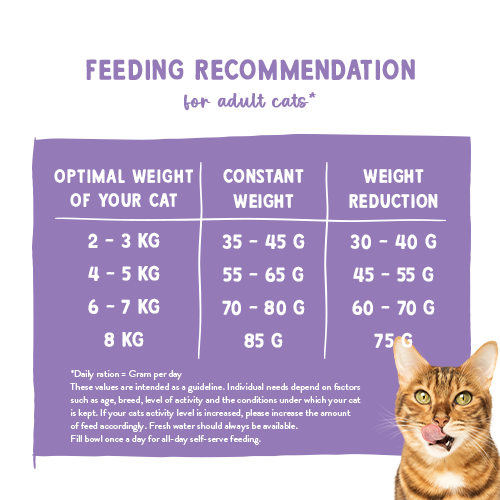 bosch sanabelle sterilized 8kg na Arena.pl