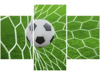 product-compare-58646873