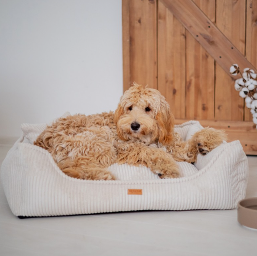 Ortopedyczne legowisko dla psa i kota MILANO BEŻOWE S – VISCO MEMORY na Arena.pl