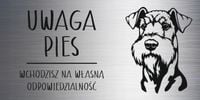 Tabliczka laminat 20x10 cm UWAGA PIES Airedale terrier Z GRAWEREM