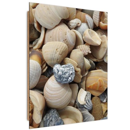 Deco Panel, Muszelki 2 80x120 na Arena.pl