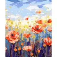 Malowanie po numerach 40x50cm Maki