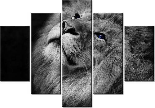 105CM 150CM OBRAZ 5 ELEM SREBRNY LEW NIEBIESKIMI OCZYMA DRUK na Arena.pl