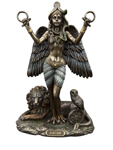 BOGINI WOJNY ISZTAR  VERONESE  WU77870A4 na Arena.pl