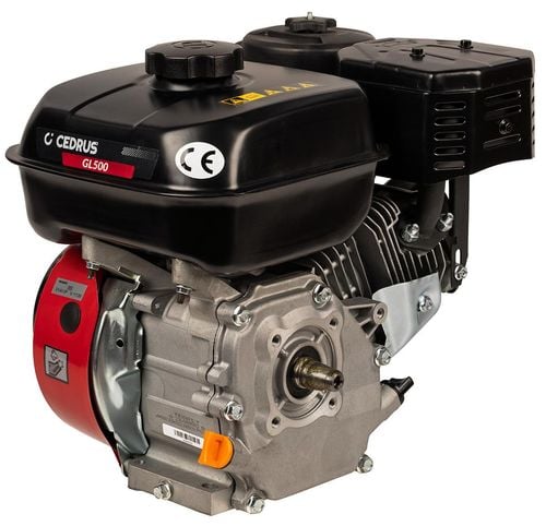 Silnik WM168FB/P CEDRUS glebogryzarka GL500 WM168FB/P na Arena.pl