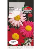 Nasiona Złocień Różowy 0,5g