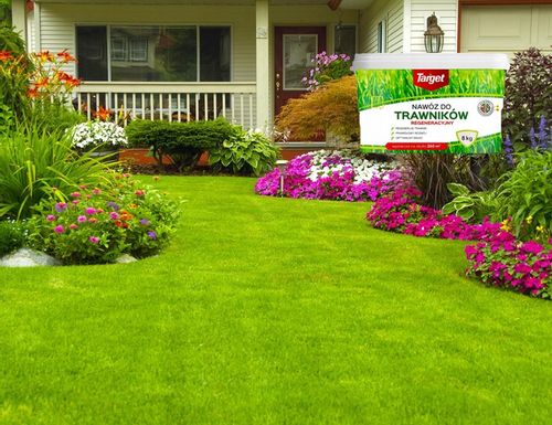 NAWÓZ WIOSENNY DO TRAWNIKÓW REGENERUJE TARGET 8 KG na Arena.pl