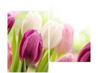 product-compare-58655715