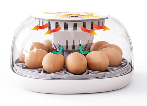 INKUBATOR DO JAJEK AUTOMATYCZNY KLUJNIK WYLĘGARKA WYLĘGARNIA DO 12 JAJ na Arena.pl